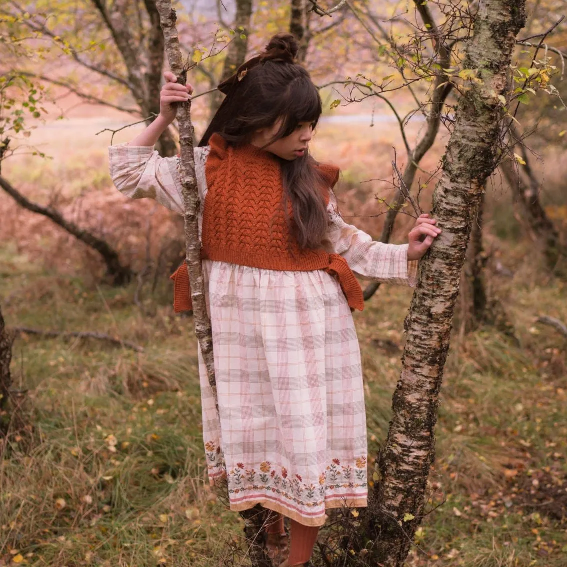 AVA DRESS, HARVEST PLAID WITH EMBROIDERY