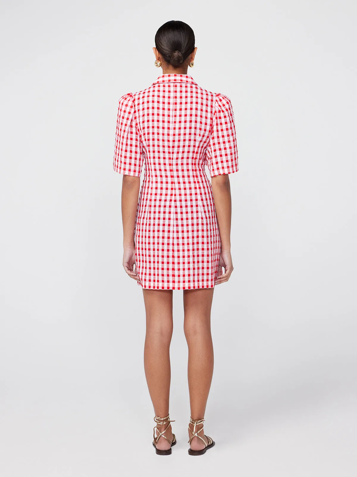 Nellie Red Gingham Mini Shirt Dress