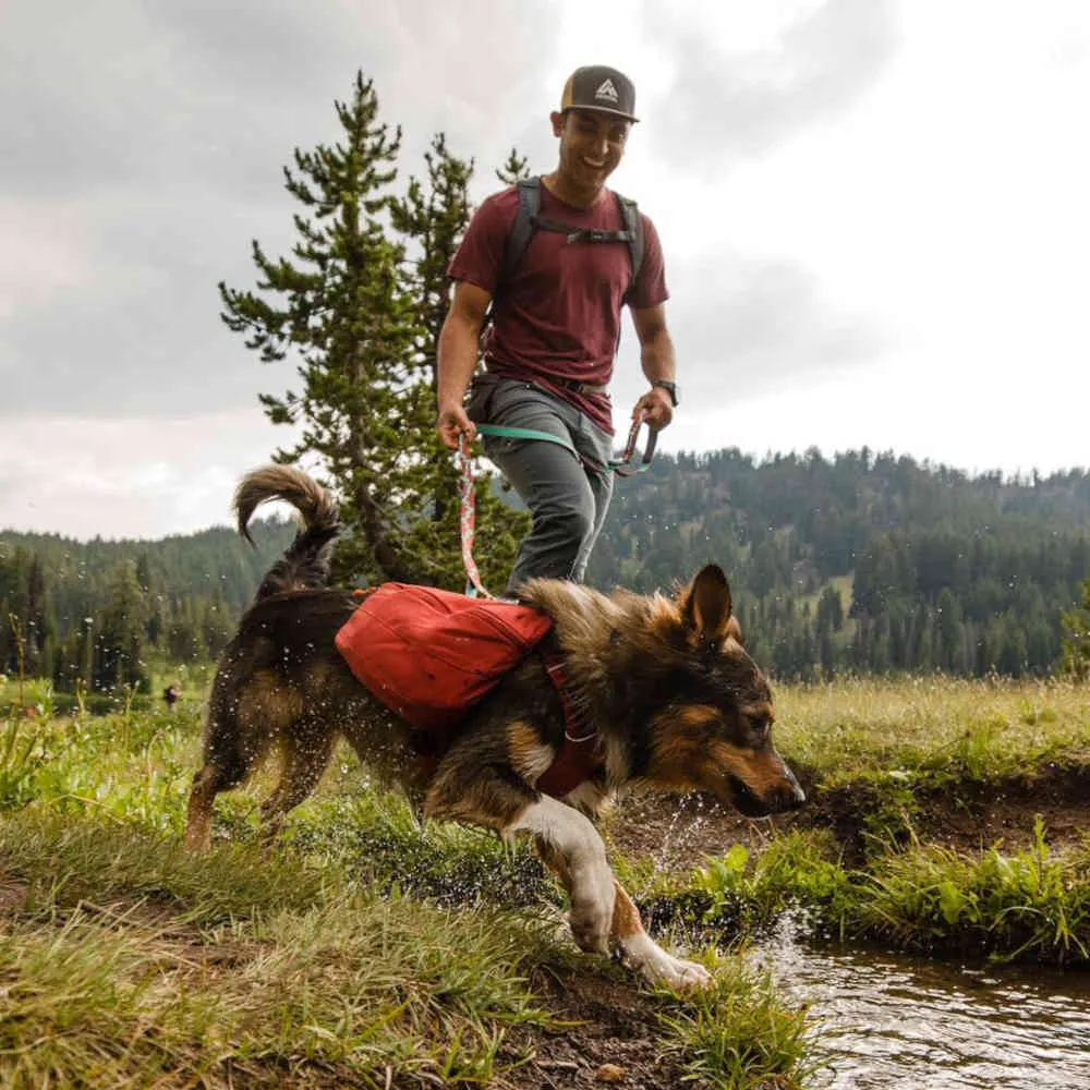 Ruffwear Front Range Day Pack No-Pull Handled Dog Harness (Aurora Teal)