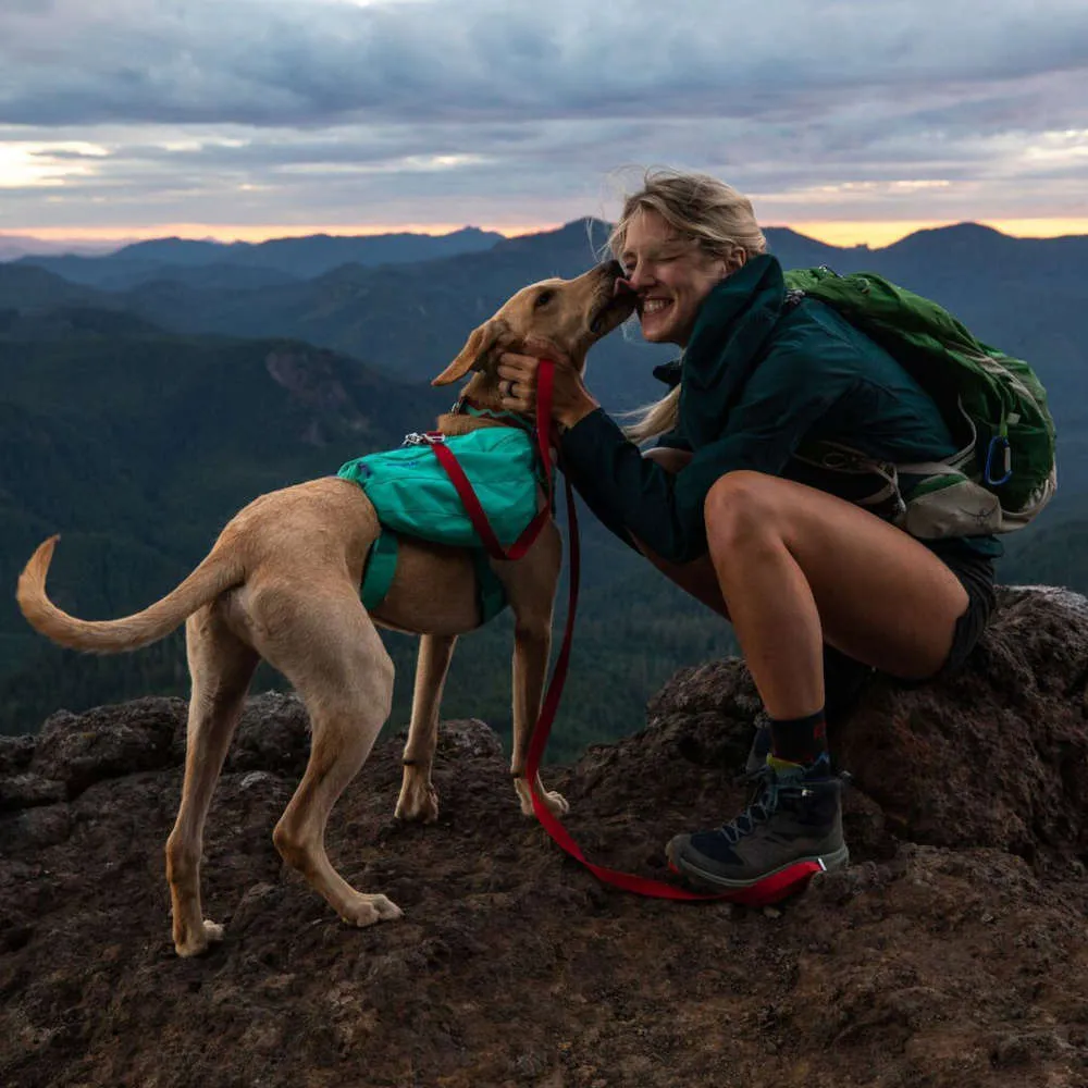 Ruffwear Front Range Day Pack No-Pull Handled Dog Harness (Aurora Teal)